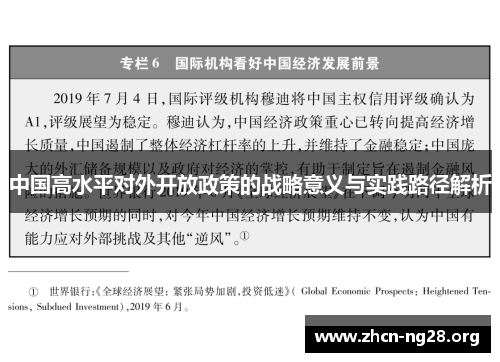 中国高水平对外开放政策的战略意义与实践路径解析