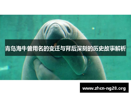 青岛海牛曾用名的变迁与背后深刻的历史故事解析